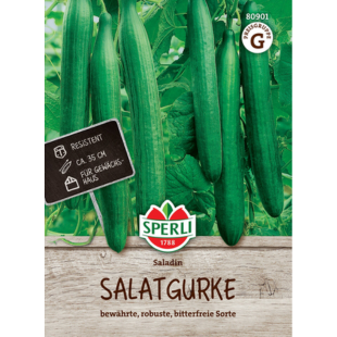 SPERLI Salatgurke 'Saladin'