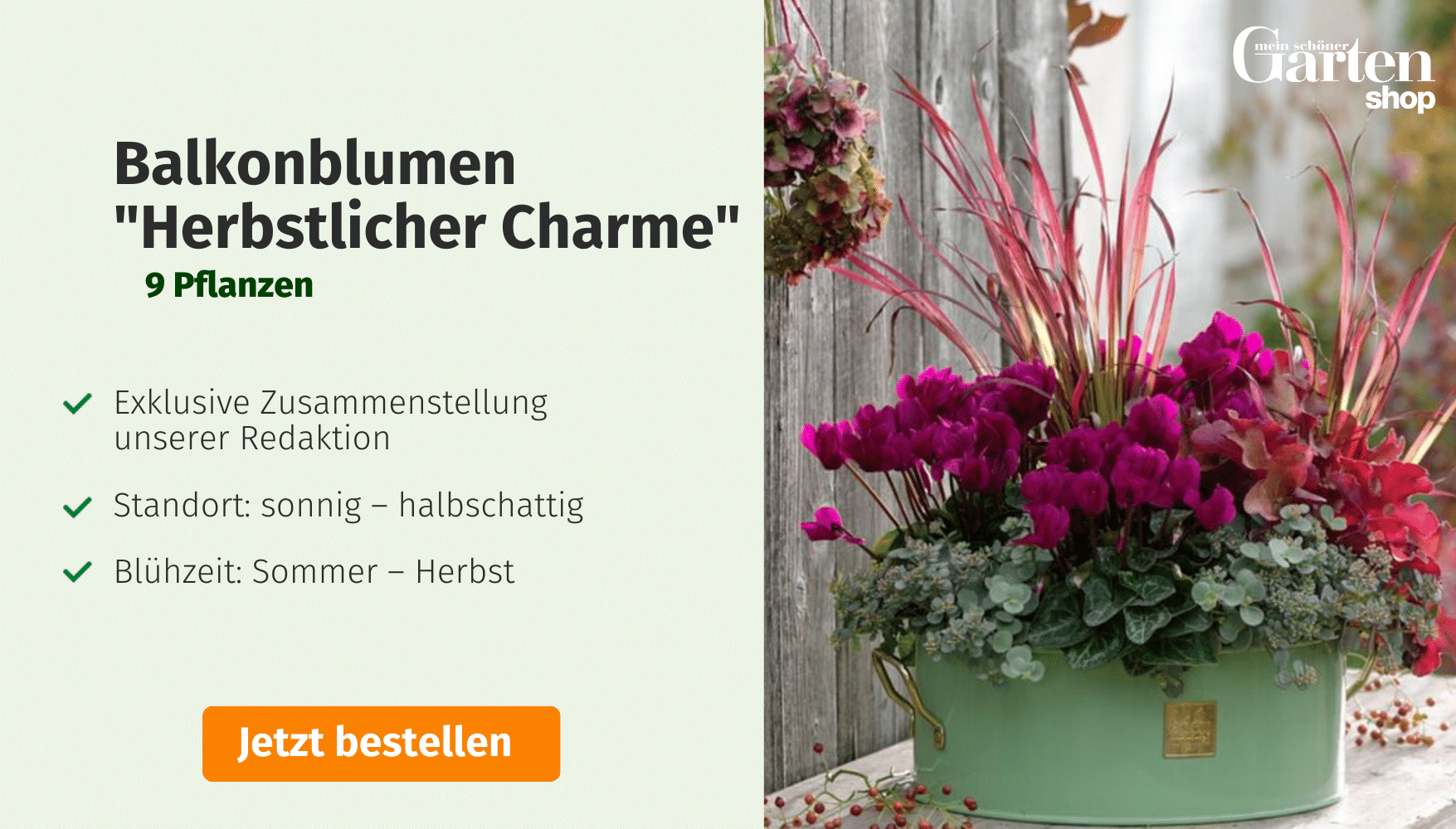 Herbstblumen