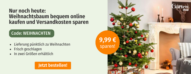 Weihnachtsbaum