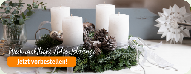 Adventskränze